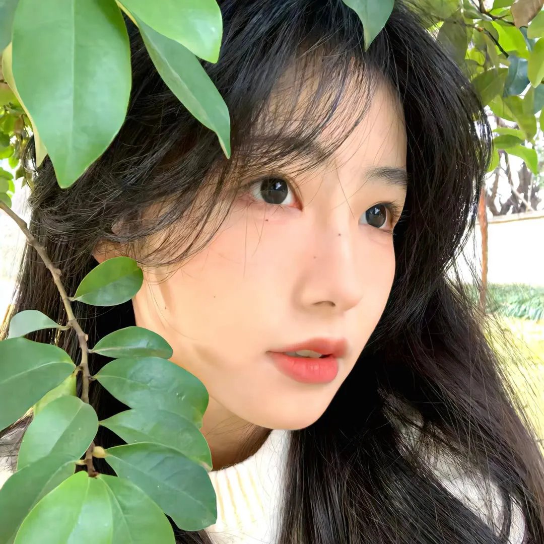 乱马12